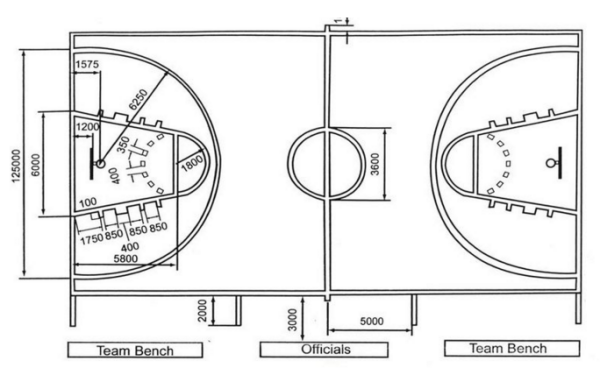 最新标准篮球场尺寸图及其相关解析