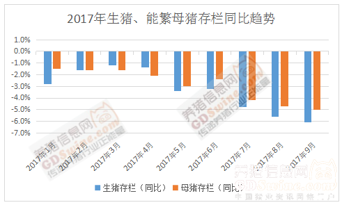 成都今日猪价最新消息，市场走势分析与预测