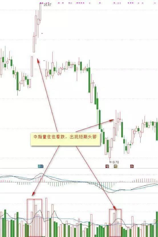 赵吉最新持股动向，深度探究与前景展望