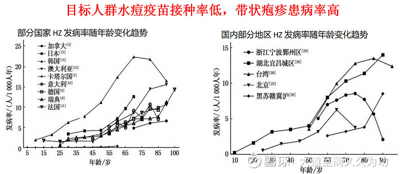 疱疹疫苗最新成果，突破与创新引领健康未来