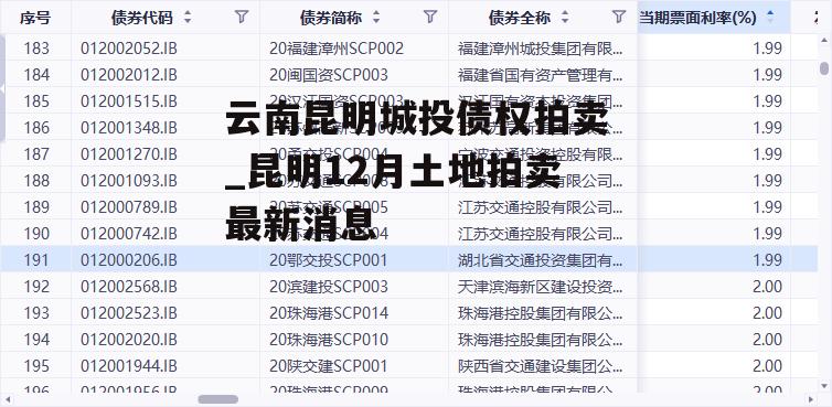 云南最新拍卖公告概览