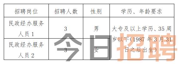 郸城最新招聘信息概览