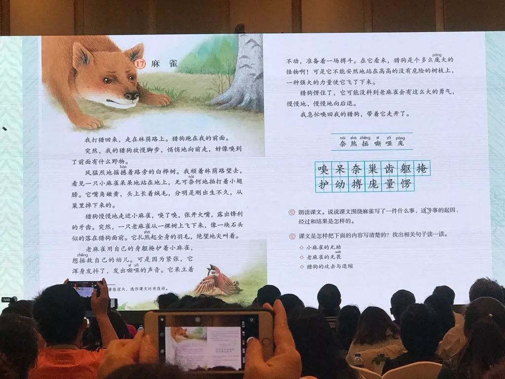 最新小学语文课本，重塑语言教育的基石