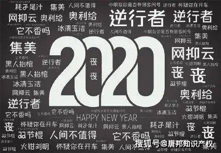 最新网络红词，流行文化的镜像与年轻人的语言狂欢