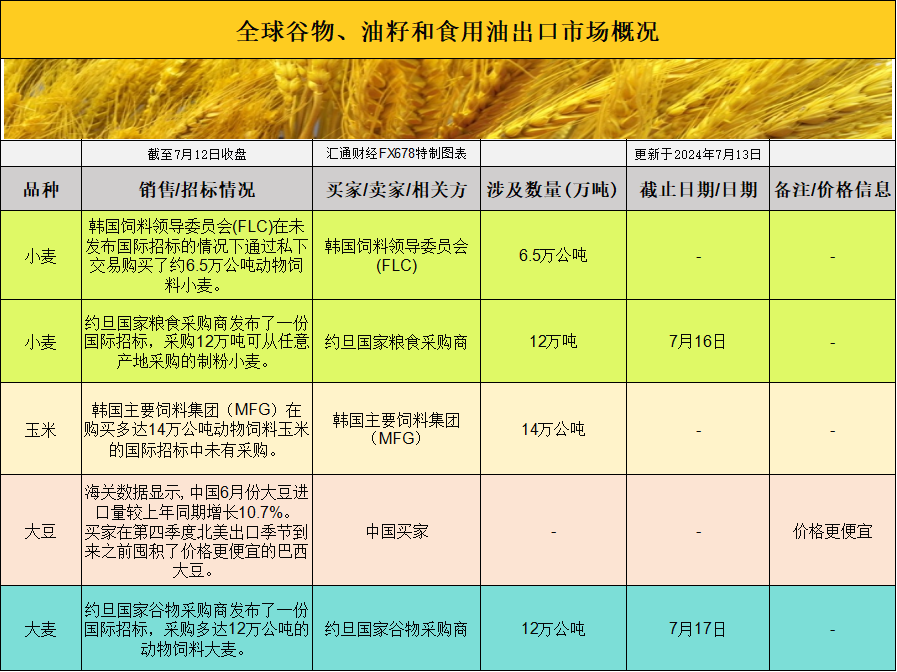 QX50最新价格，深度解析市场动态与购车策略