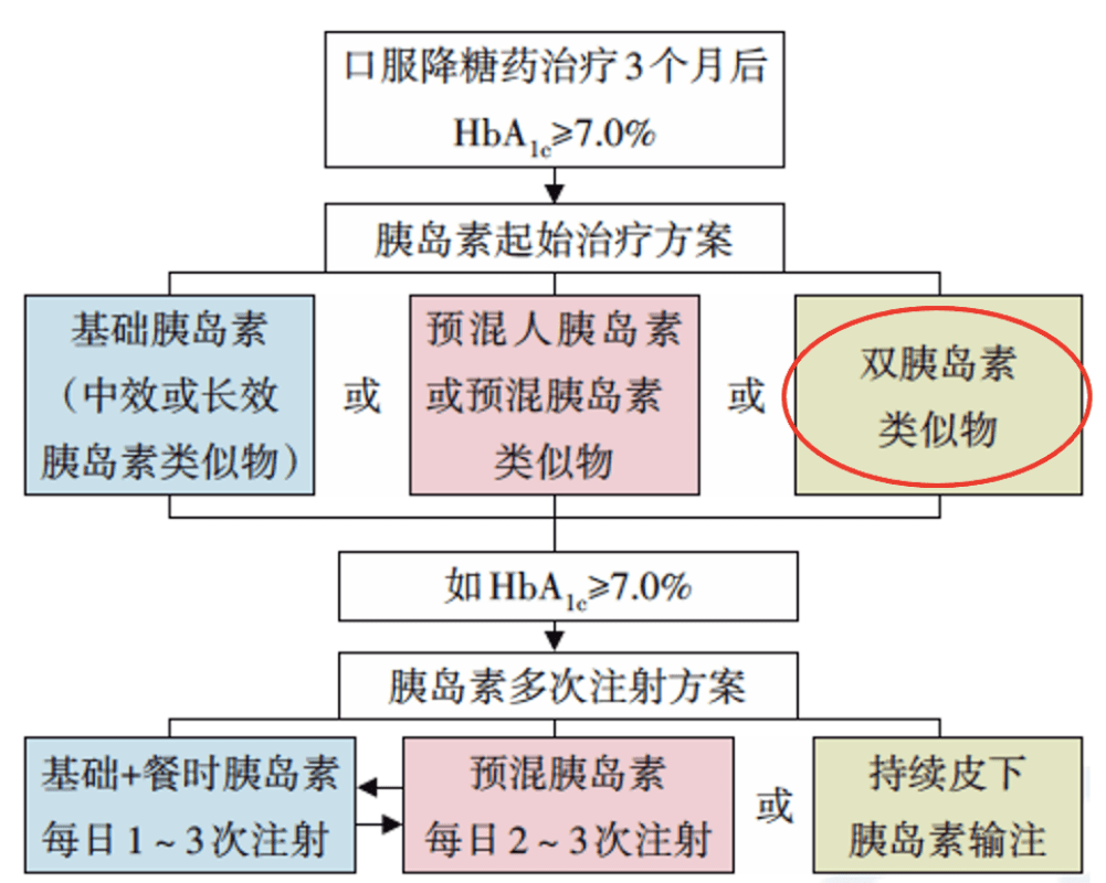 考药狮最新版，全面解读与应用指南