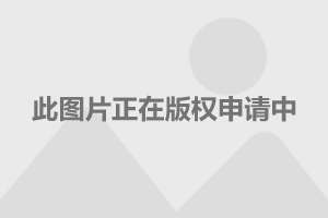 上海大众帕萨特最新报价及市场深度解析