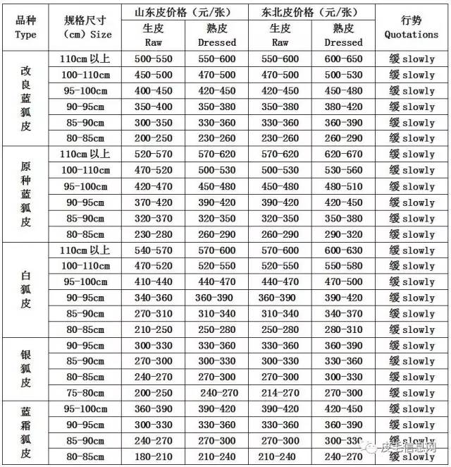 河北尚村蓝狐最新价格动态分析