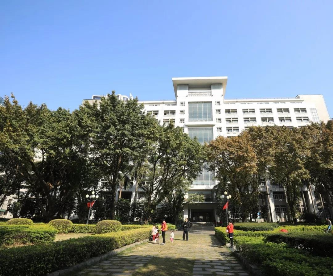 全球大学排名2015最新排名，探究顶尖学府的竞争与变迁